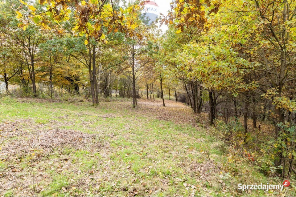 Działka leśna 862 m w Oczkowie leśna Żywiec