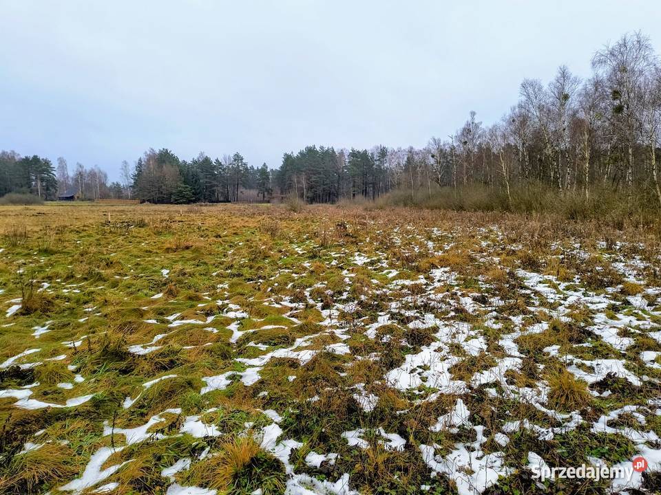 Działka rekreacyjna 3004 m2 w Karwiku 3004m2 warmińsko-mazurskie Karwik