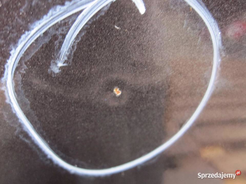 AUDI Q7 4L I 07r drzwi prawe tył osobowe