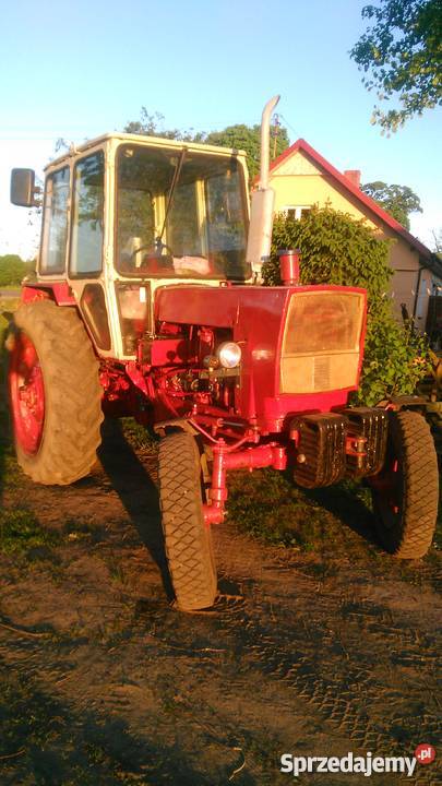 Sprzedam belarus jumz 6m w duzej kabinie nie mtz Darnowo