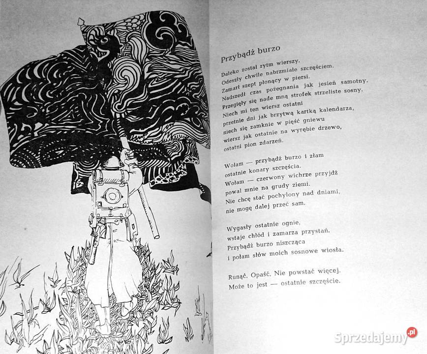 Rysopis Tadeusz Hołuj lubelskie Chełm