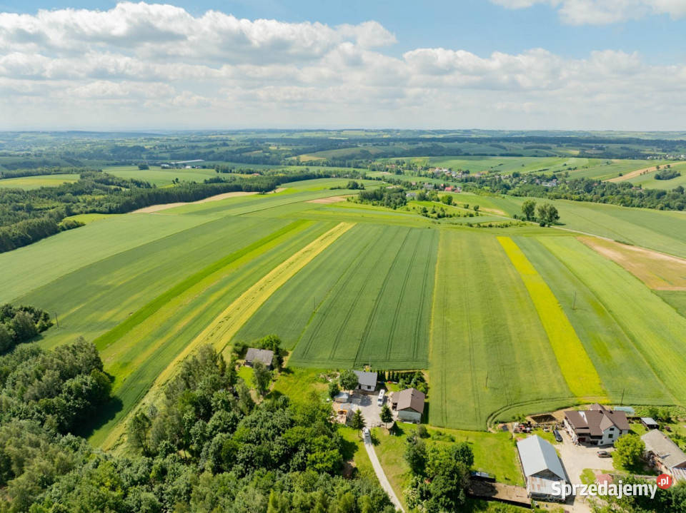 Sielska nieruchomość w otoczeniu natury 220 HA Grzegorzowice Wielkie