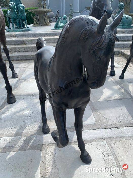 Koń z brązu rzeźba Figura konia z brązu H120 Pozostałe Szczecin sprzedam