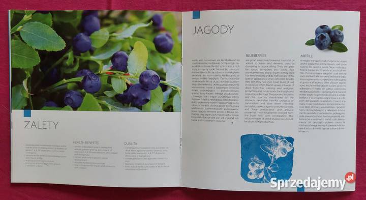 Folder Poczta Polska Światowa wystawa EXPO 2015 dolnośląskie Wrocław