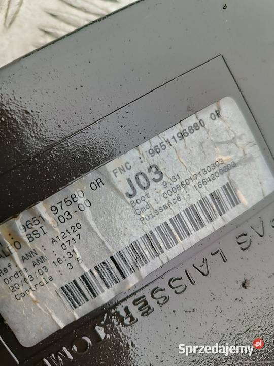 9651196880 Moduł BSI Peugeot 307 Niwka sprzedam