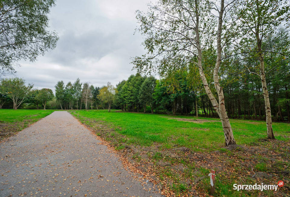 Działka budowlana z laskiem 122zł/m2 Darłowo