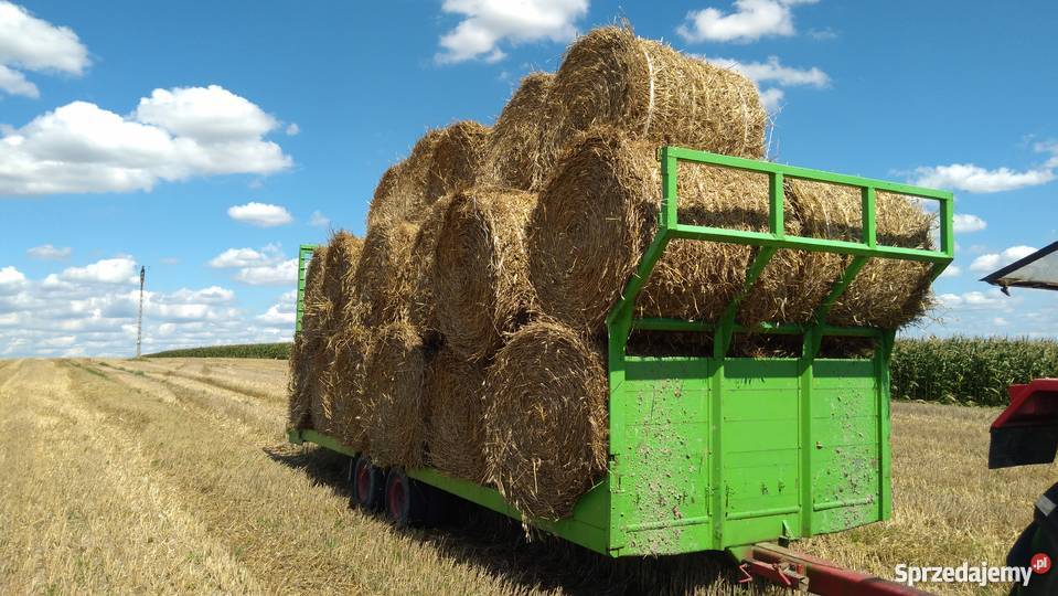 Sprzedam Prase rolujące Hesston FiatAgri Holland świętokrzyskie Sędziszów