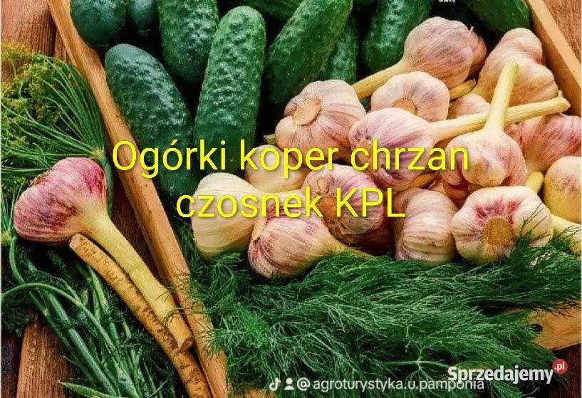 Ogórki gruntowe 3 dodatki koper chrzanczosnek Warzywa