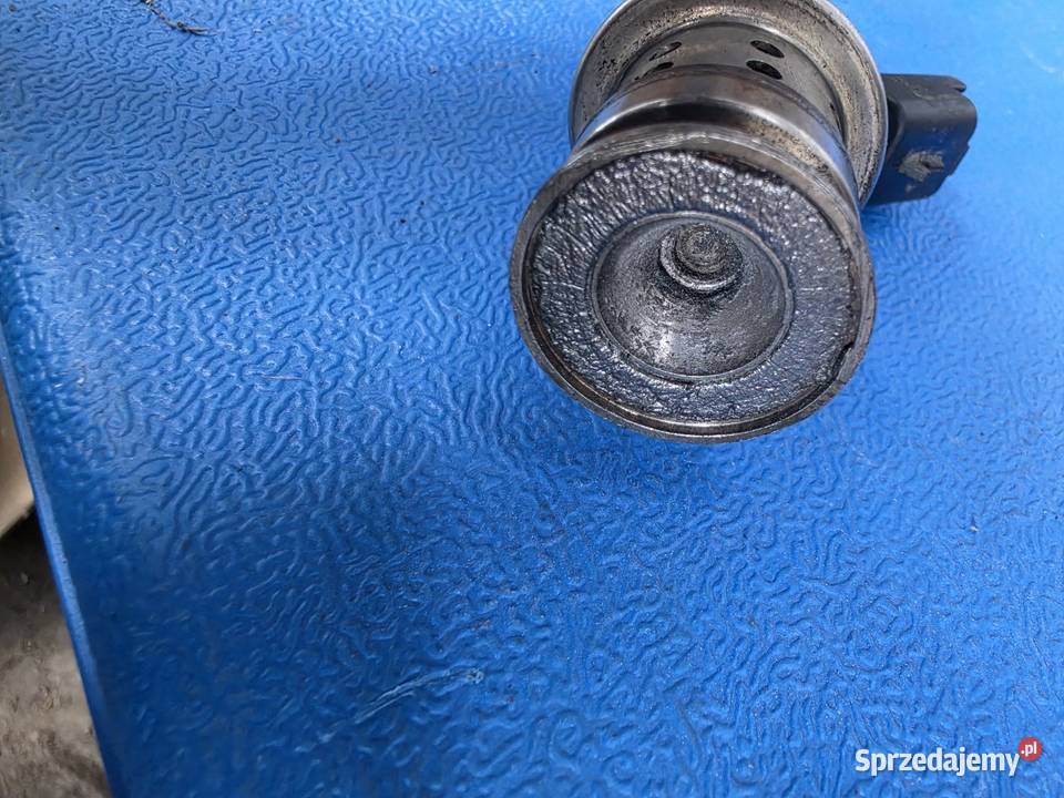 Wtrysk Ad Blue 1 5 Blue Hdi 9813930180 Rok produkcji 2022 Bąków Górny sprzedam