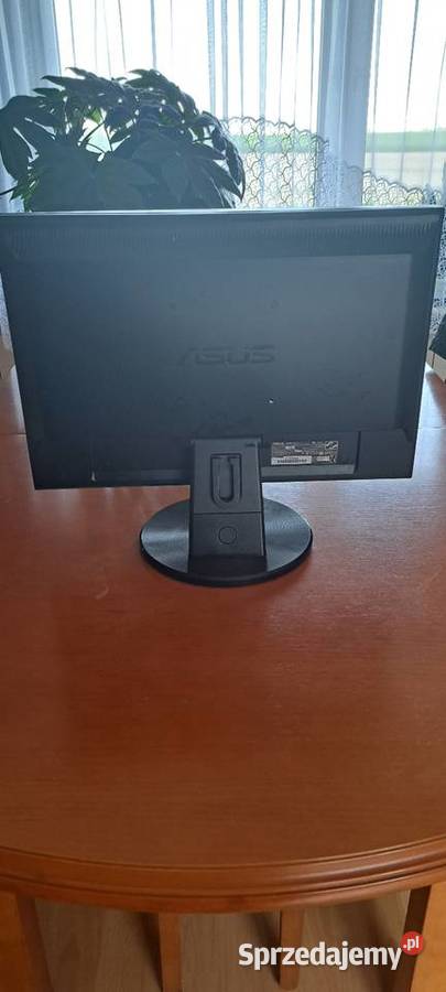 Monitor ASUS 19 DVI  Monitory i projektory Bielki