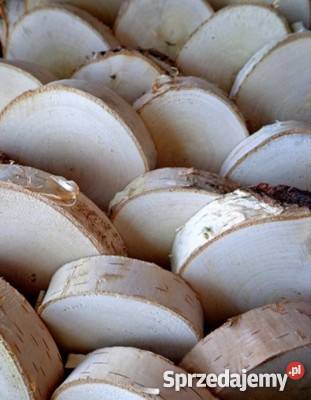 Plastry drewniane szlifowany brzoza 6 10