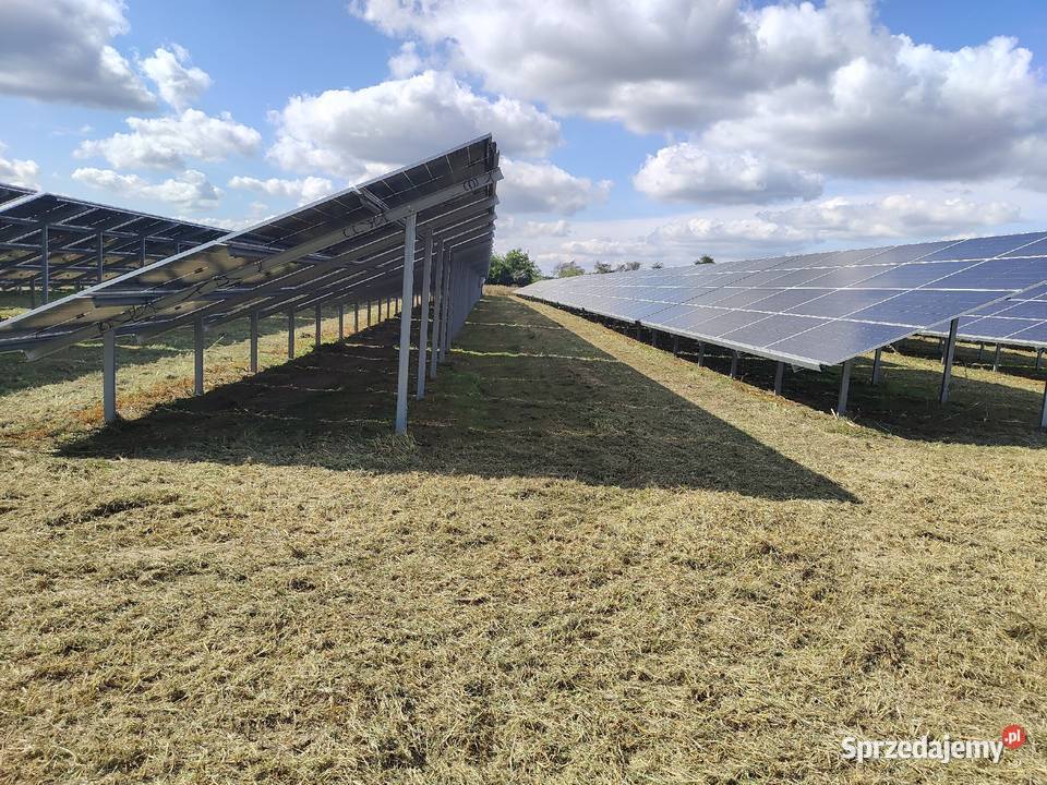 Koszenie farm fotowoltaicznych nieurzytkow Bydgoszcz