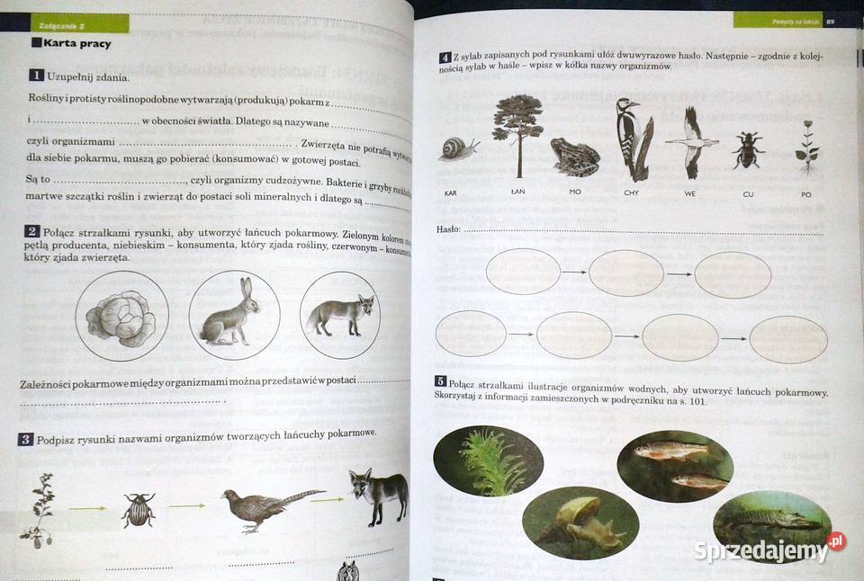 Tajemnice przyrody 4 Pomysły na lekcje Praca lubelskie Chełm