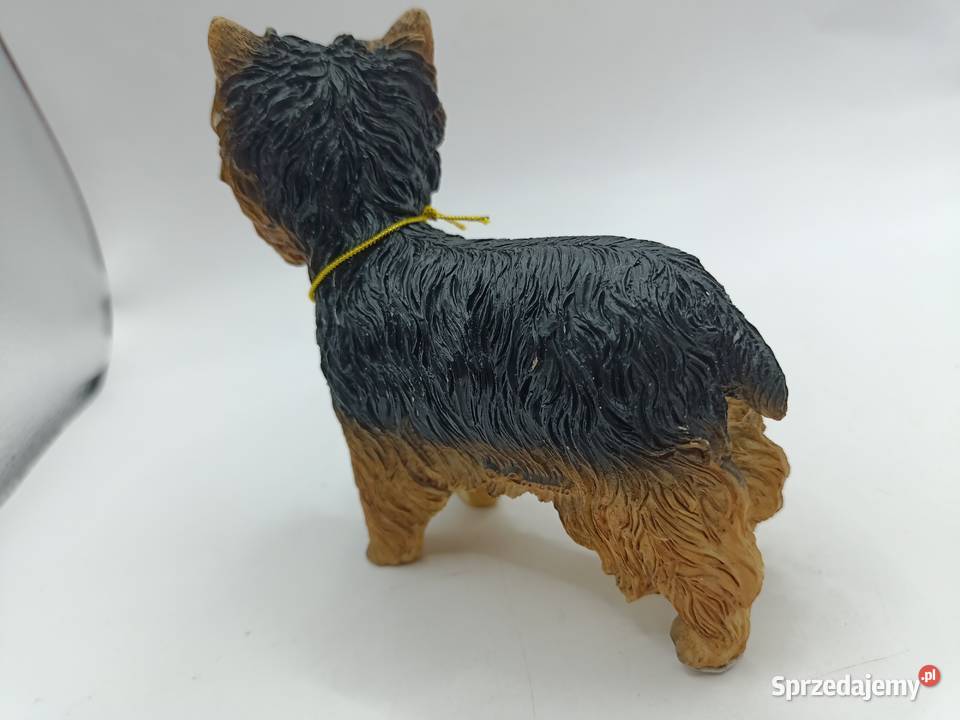 Figurka pies Yorkshire LEONARDO Dog studies