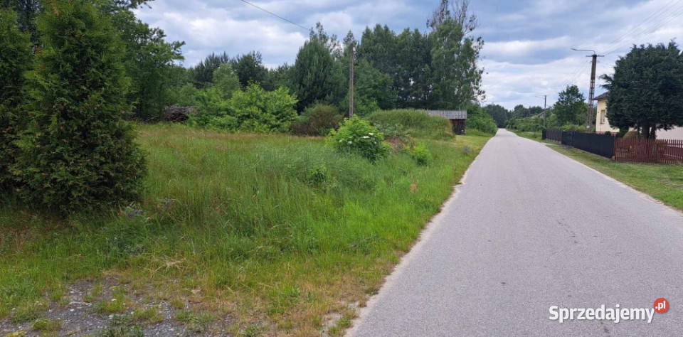 Sprzedam siedlisko 4000 m2