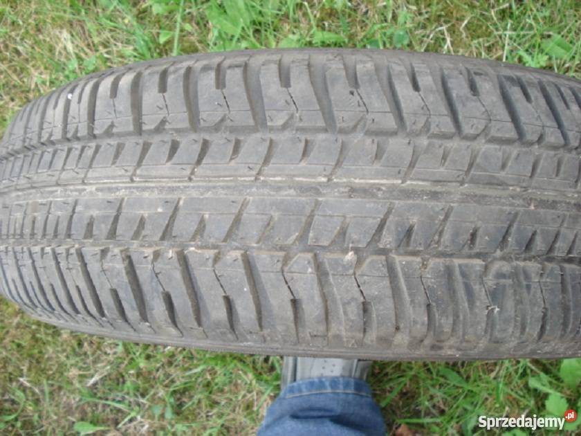 opona letnia 1567013 lato Myszków