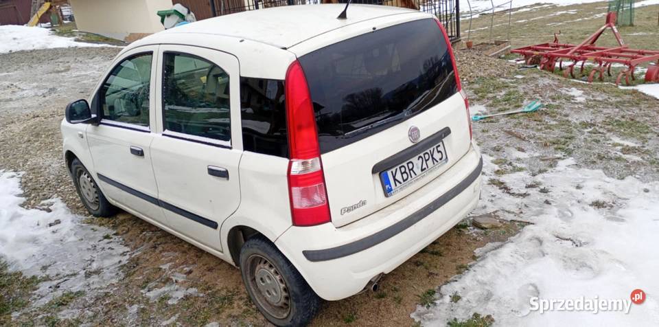 Sprzedam pande panda Drużków Pusty