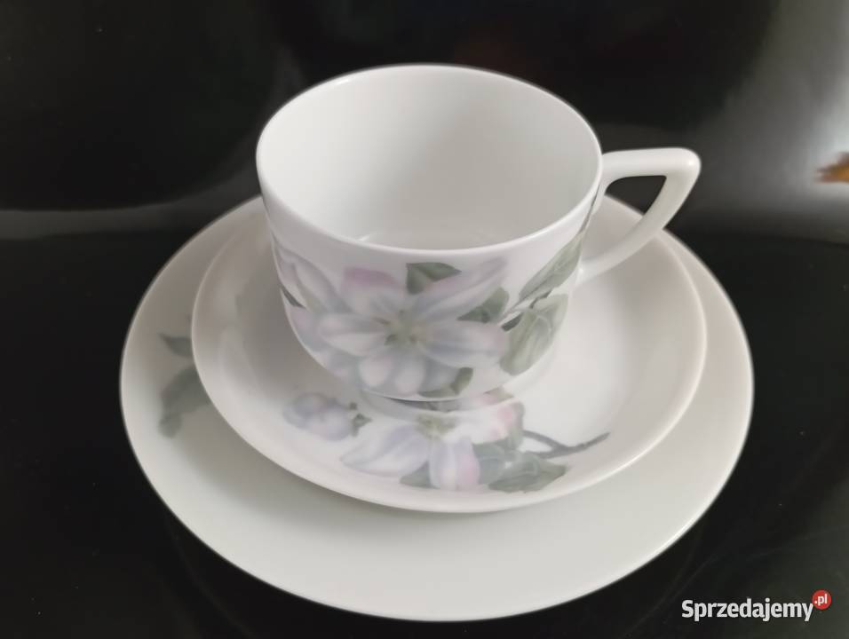 Zestaw śniadaniowy Rosenthal Isolde Zielona Góra