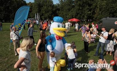Stroje Dmuchane Kaczor Donald Smerfy Piraci Warszawa