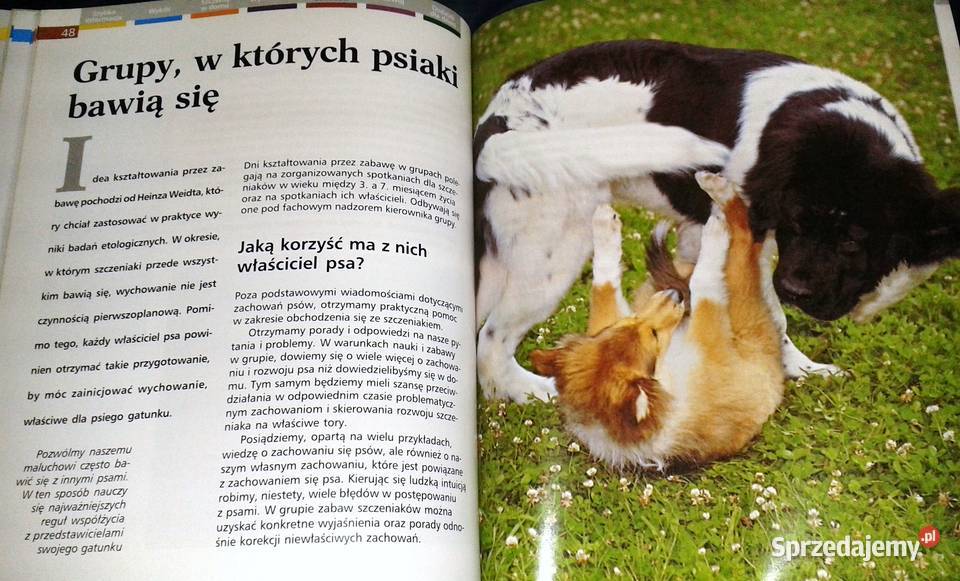 Szczenięta Heidi Rogner