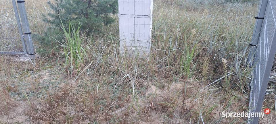 Sprzedam bezpośrednio działki budowlane KLEMPICZ wielkopolskie