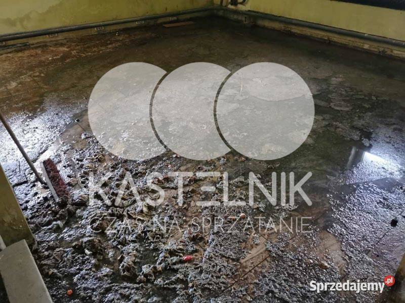 Sprzątanie zalaniach usuwanie szkód Rybnik