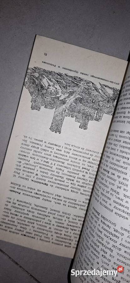 Wyżyna Krakowsko Częstochowska przewodnik 1 wielkopolskie Łęczyca