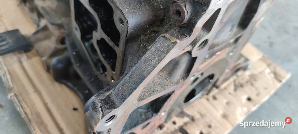 BLOK SILNIKA AUDI VW SEAT BKD 19 20 TDI 038021CF osobowe Przystajń