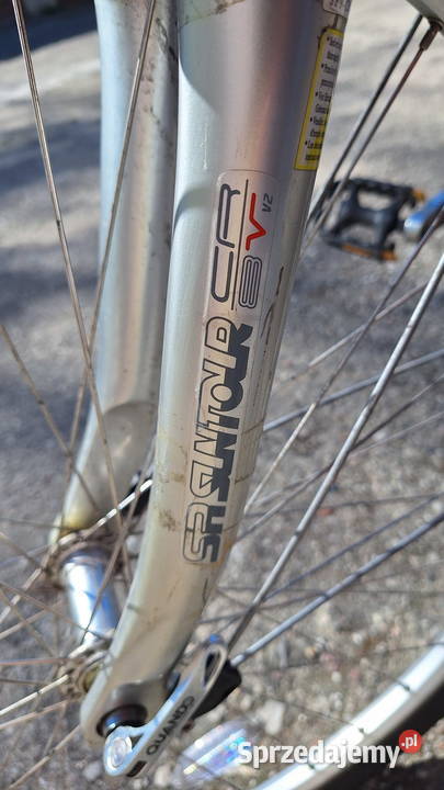 Rower Unibike Vision 28 wielkopolskie Poznań