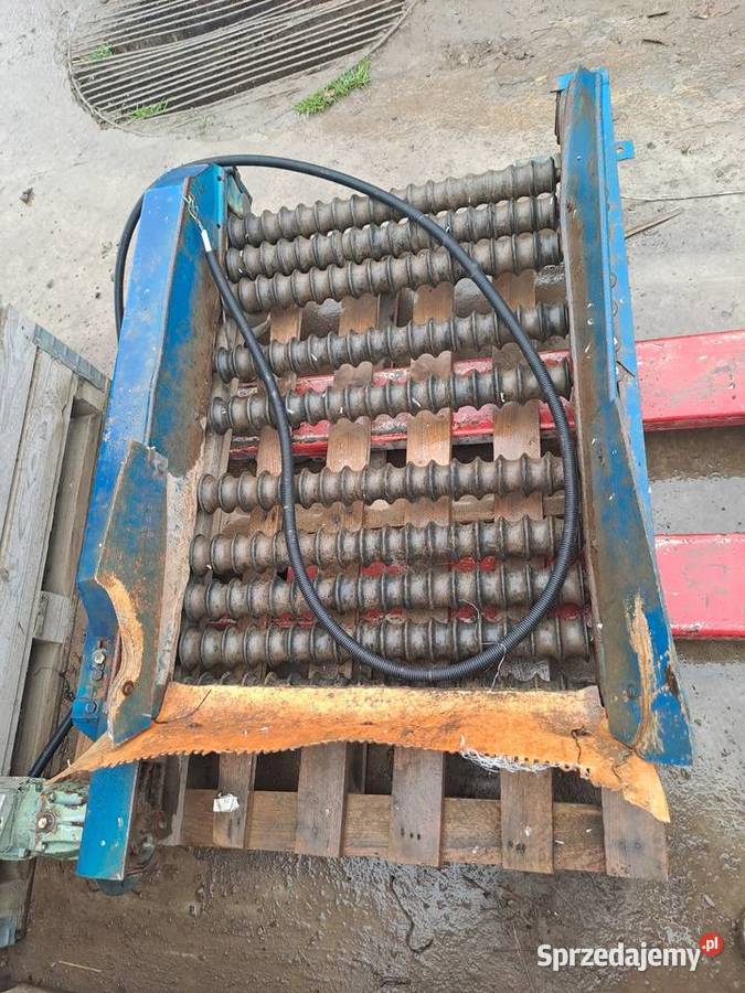 Sortownik rolkowy do ziemniaków i warzyw opolskie Maciowakrze