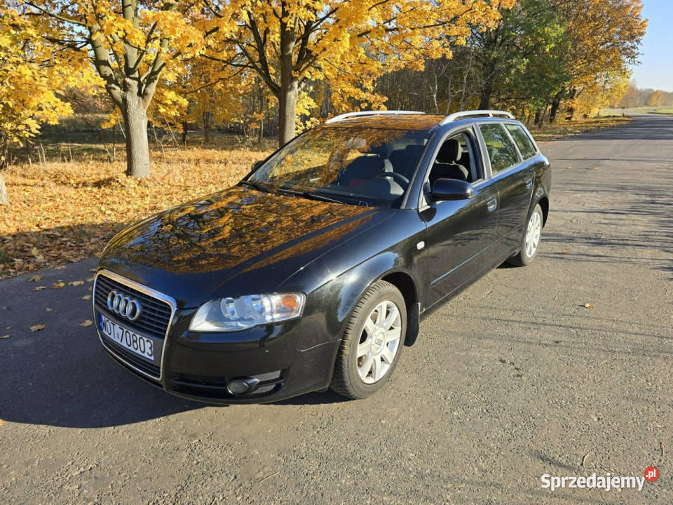 Audi A4 B7 20042007 140KM Karczew