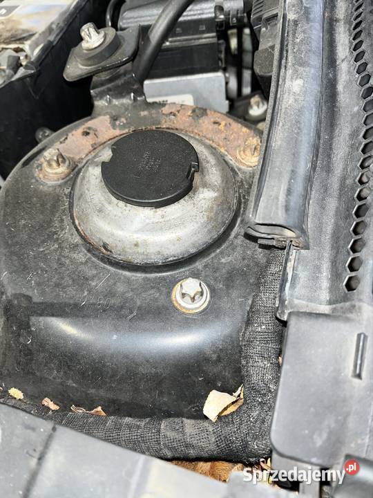 Kielichy Opel Vectra C śląskie