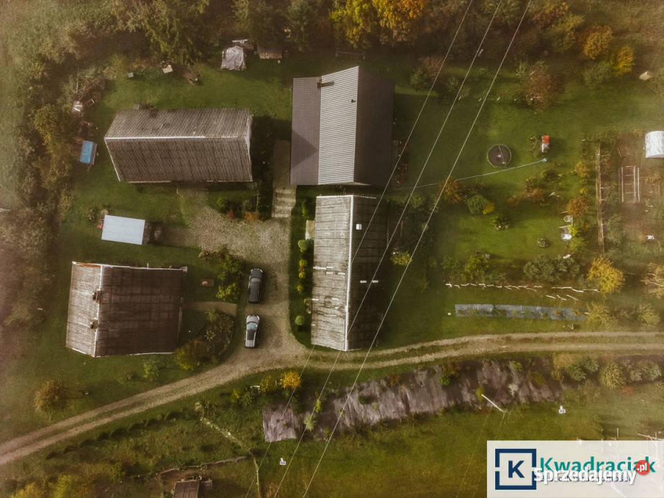 Lokal 330m2 Brzegi Dolne