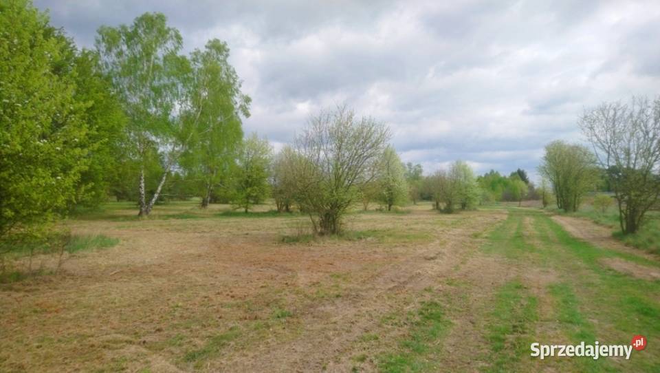 Sprzedam działkę o powierzchni 1000m2 z prawem mazowieckie