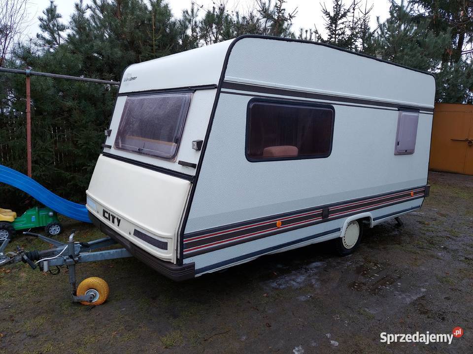 Keping buster city Turek