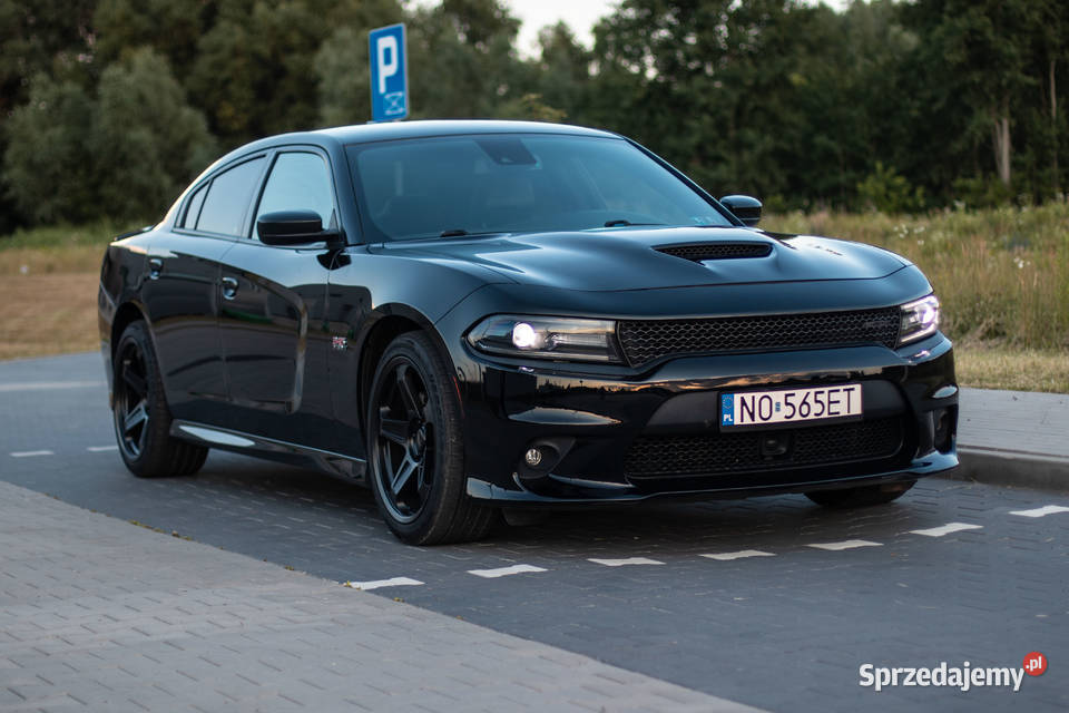 Dodge Charger nieuszkodzony Charger warmińsko-mazurskie Olsztyn