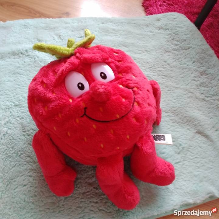 Truskawka Tosia Świeżak Trzebinia