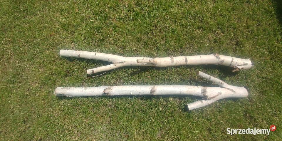 Żerdzie brzozowe z mocowaniami papug Ruda Śląska