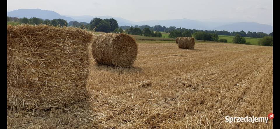 Słoma bele 130x120 śląskie Twardorzeczka