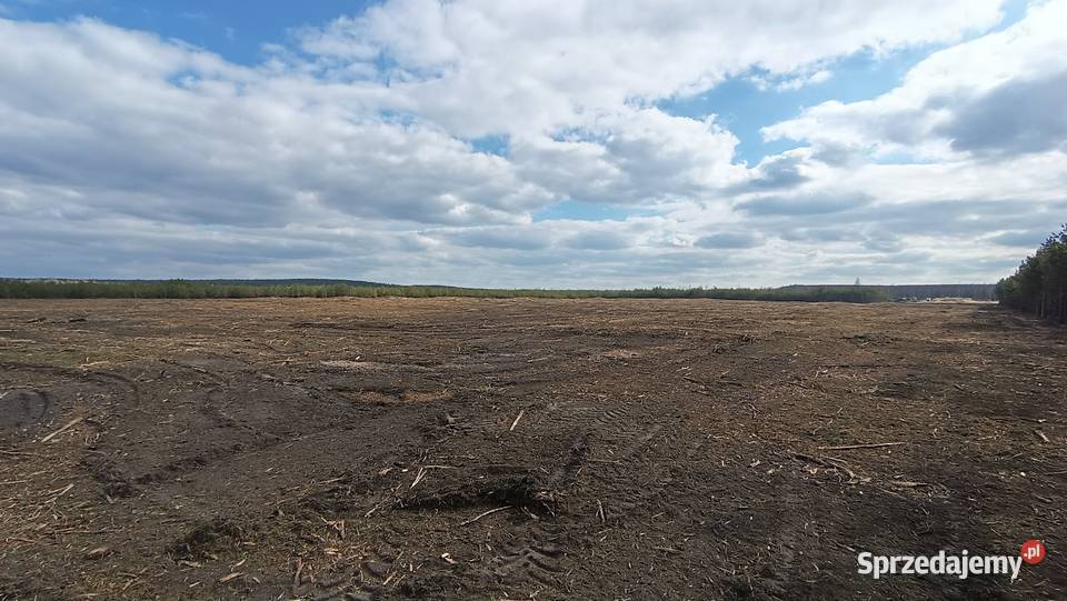 Mulczowanie terenu Mulczer POWIERZCHNIOWY Krzeszowice