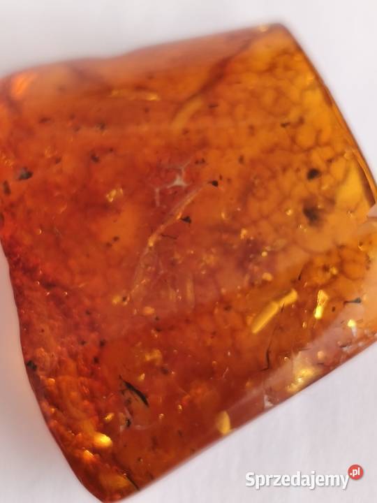 Bursztyn Inkluzja Pozostałe Pozostałe Białystok sprzedam
