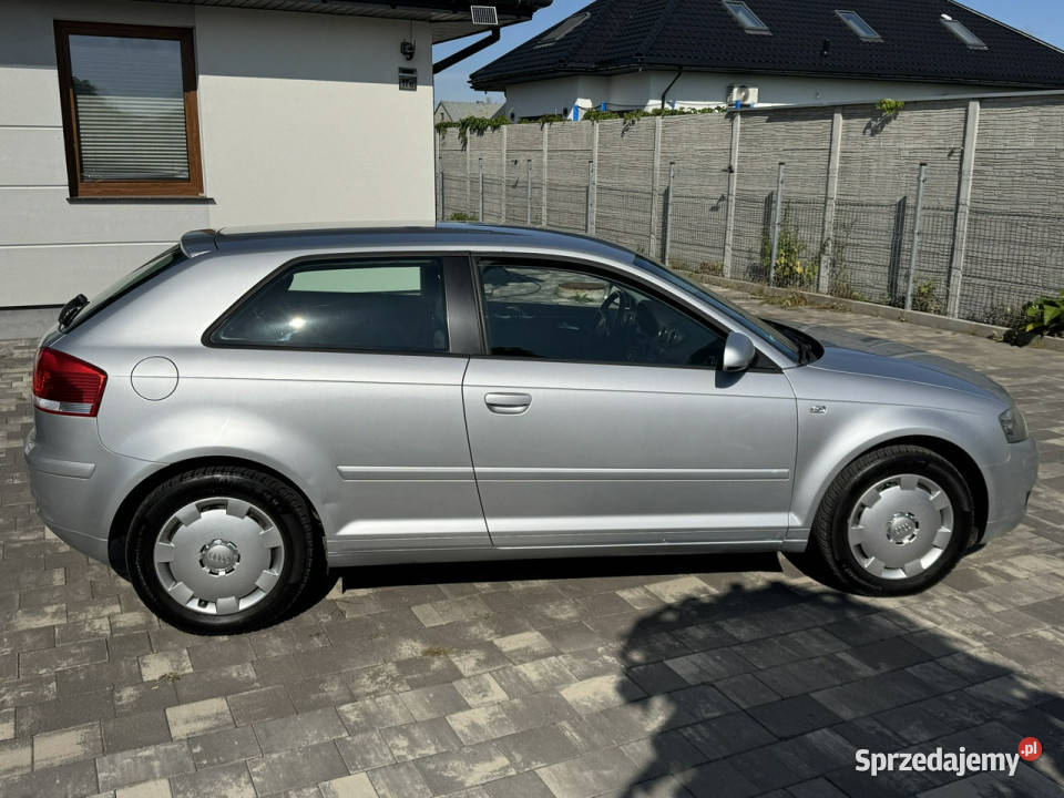 Audi A3 3drzwiowe Audi 3 16 mpi 102 Konie Xenon 1600cm3 Szerominek