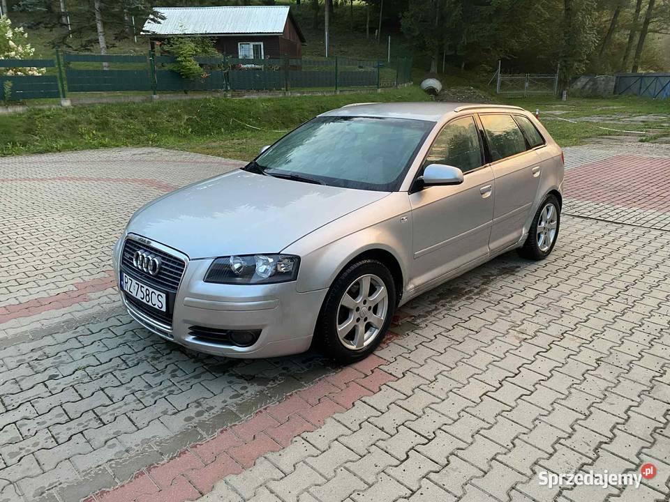 Audi A3 8P 19 TDI 5 drzwi nieuszkodzony Lutcza sprzedam