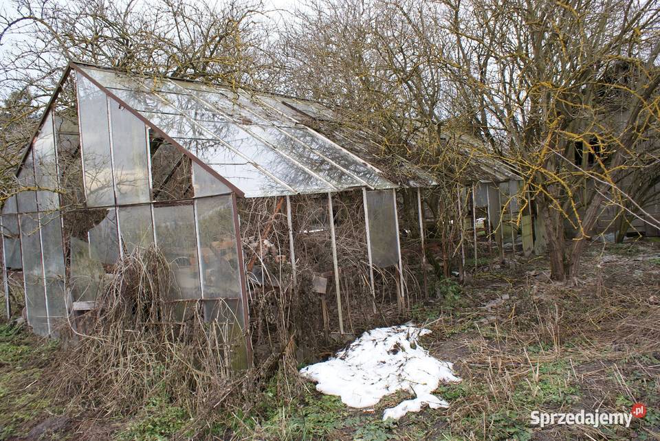 Szklarnia ogrodnicza Wawrzeńczyce