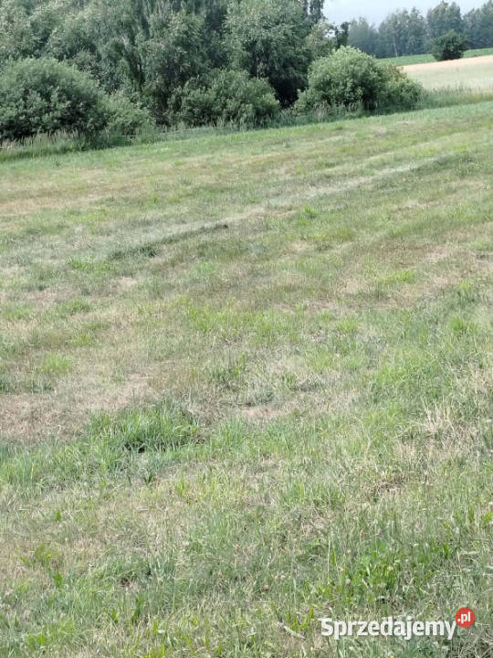 Działka z lasem i sadzawką teren z potencjałem Sokółka