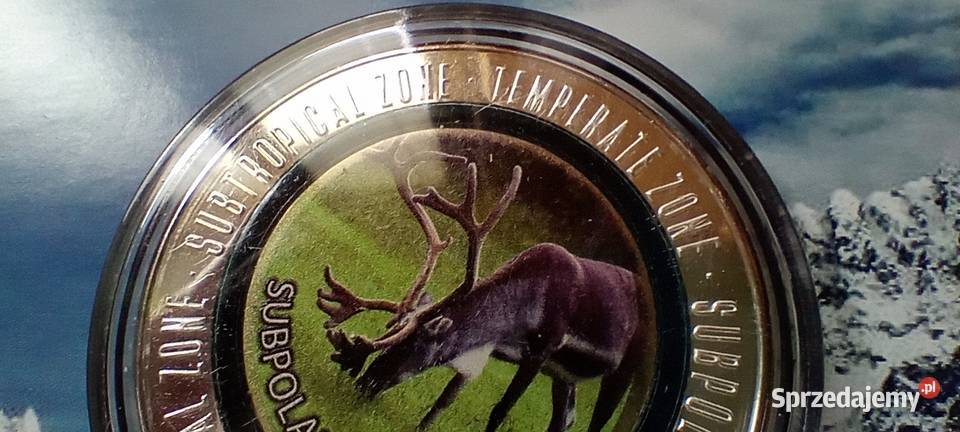 Stare monety Medal 1 Lesko sprzedam
