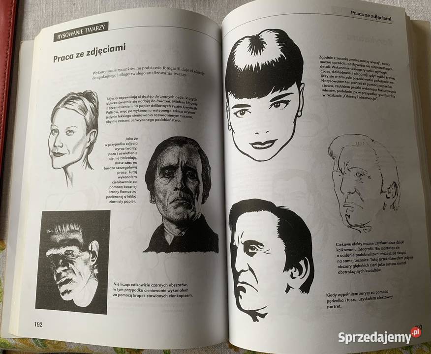 Kurs Rysunku i Ilustracji Kalisz