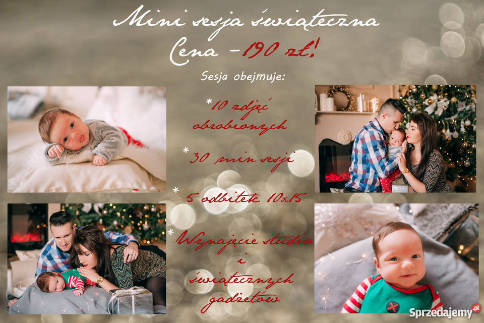 MINI sesja świąteczna 190 Warszawa