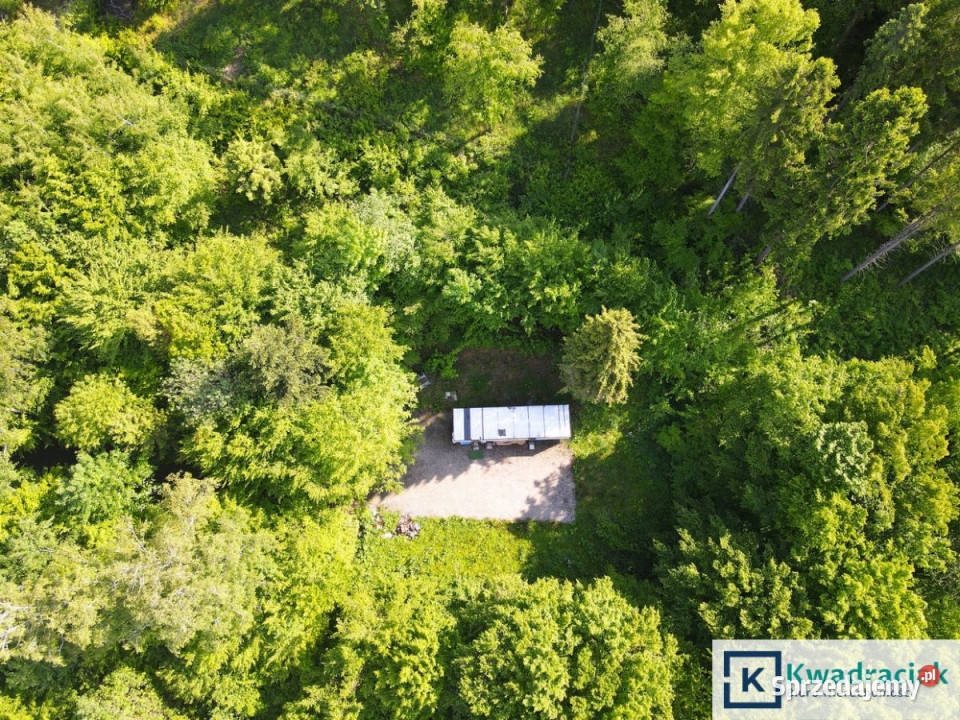 Działka 8242m2 Płowce