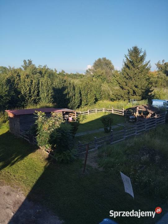 Mieszkanie świeżo remoncie na sprzedaż Sprzedaż Malbork